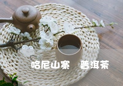 哈尼山寨 普洱茶/2023041077682